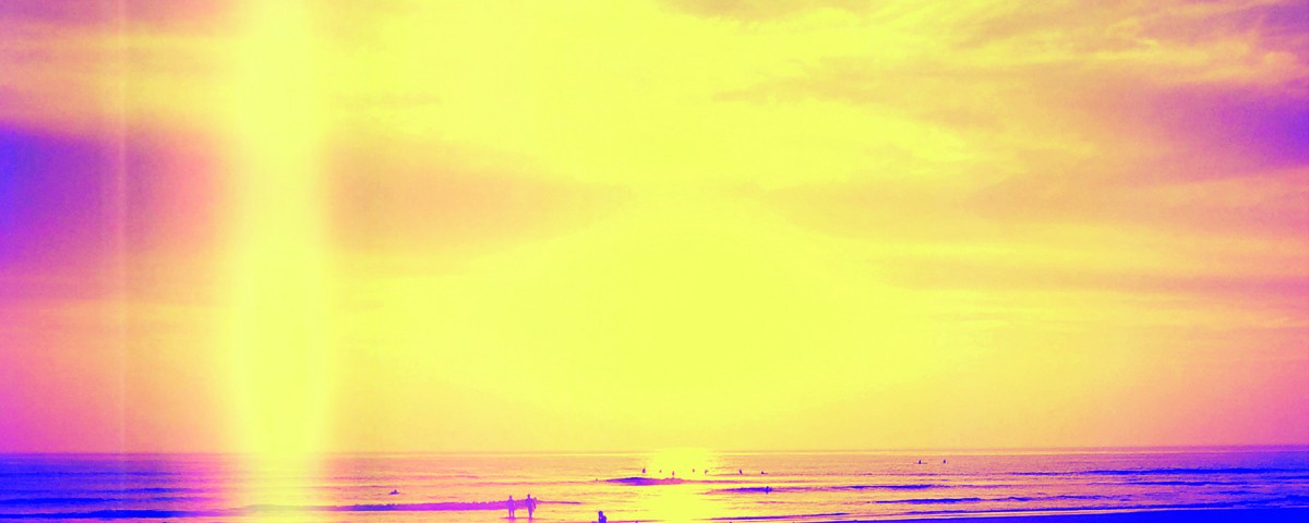 oliv2